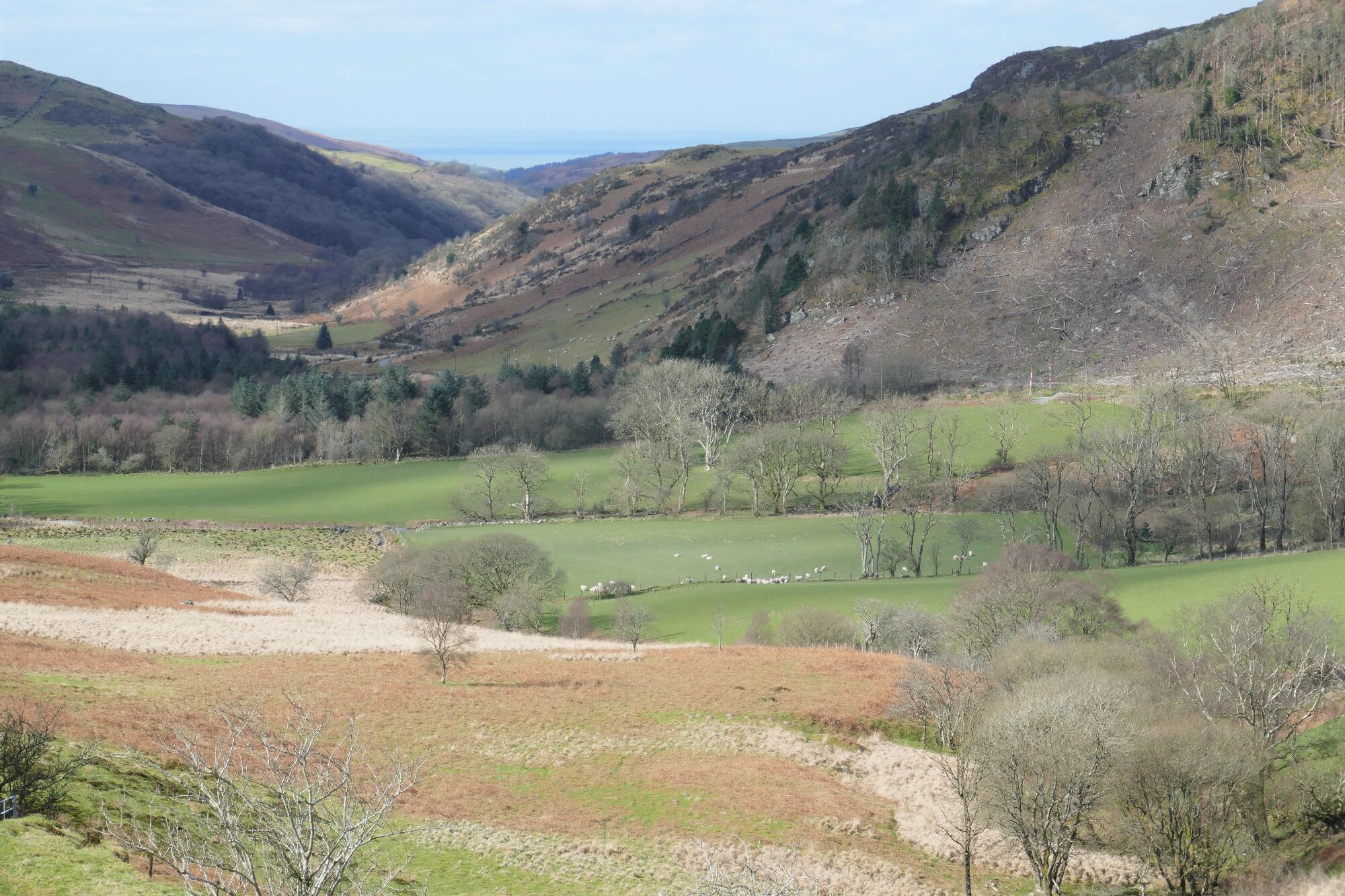RachelSeabrook.net | Wild Walking | Cwm Cyneiniog and Craig y Pistyll | pic11